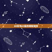 60年与63鼠的婚配如何，60年鼠1971年猪婚姻配吗