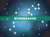 自己属相戴金坠好不好，能不能带自己生肖的坠子