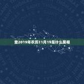 查2019年农历11月19是什么属相，2019年农历11月19日12点