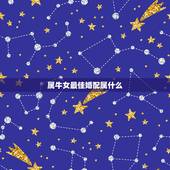 属牛女最佳婚配属什么，属牛女配什么属相好
