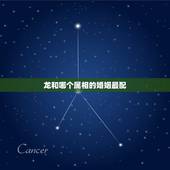 龙和哪个属相的婚姻最配，属龙和什么属相最配