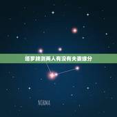 塔罗牌测两人有没有夫妻缘分，塔罗牌测试爱情详解