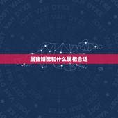 属猪婚配和什么属相合适，属猪和什么生肖合得来