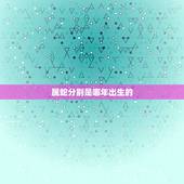 属蛇分别是哪年出生的，1977年属蛇人43岁答案