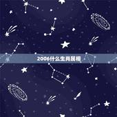 2006什么生肖属相，请问2006年是什么生肖？