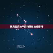 属虎的真的不能和属蛇的结婚吗，属蛇2022 年十月运势