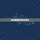 鼠和猪婚配神巴巴测试，猪和鼠相配吗？