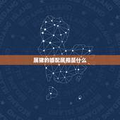 属猪的婚配属相是什么，属猪的和什么属相最配 属猪的属相婚配表