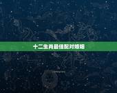 十二生肖最佳配对婚姻，十二生肖配对姻缘合婚