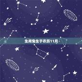 生肖兔生于农历11月，属兔人水命农历11月生日好不好