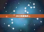 2023年属兔的，属兔人未来三年运势