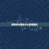 属狗的夫妻生什么属相最好，属虎和属狗夫妻生什么属相好