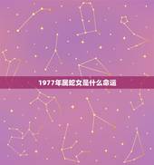 1977年属蛇女是什么命运，1977年属蛇人的后半生命运