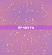 属狗夫妻合不合，属狗和属牛能做夫妻吗