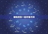 猪和虎在一起对谁不利，虎和猪合不合适婚姻