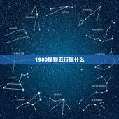 1980属猴五行属什么，在易学里面1980年在金木水火