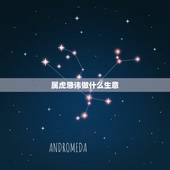 属虎忌讳做什么生意，属虎女74年适合做什么工作