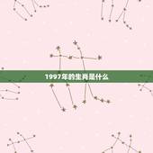 1997年的生肖是什么，1997年出生的人，属相是什么？