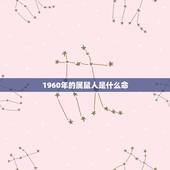 1960年的属鼠人是什么命，属鼠的人什么命