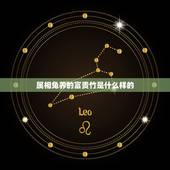属相兔养的富贵竹是什么样的，说属兔的人养单数富贵竹好是么