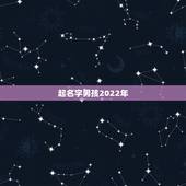 起名字男孩2022年，男孩取名牛年宝宝2022年
