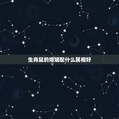 生肖鼠的婚姻配什么属相好，女属鼠配什么属相最合适