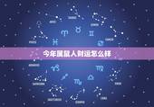 今年属鼠人财运怎么样，1972属鼠2022 每月运势