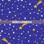 属蛇配什么属相最合适，属蛇的和什么属相最配最合适呢