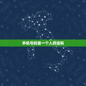 手机号码查一个人的资料，得知一移动手机号，可以在营业厅查到号码主人资料