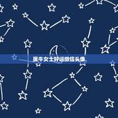 属牛女士好运微信头像，2022 微信头像好运招财头像