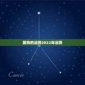 属狗的运势2022年运势，属狗人未来三年运势