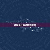 老鼠是什么动物的克星，自制老鼠最怕的味道