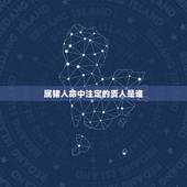 属猪人命中注定的贵人是谁，属猪2022 年烂桃花