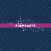 属虎和属猴的合不合，婚姻差6岁相冲反而好