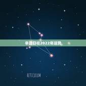 辛丑日柱2022年运势，辛丑日柱2021年婚姻怎么样？求大神指点