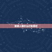 属猪人做什么行业更好，1983年属猪适合的生意