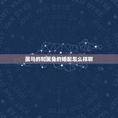 属马的和属兔的婚配怎么样啊，属马女和什么属相最配