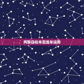 丙辰日柱辛丑流年运势，2022年有姻缘的日柱