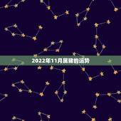 2022年11月属猪的运势，2022年12生肖运势解析