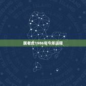 属老虎1986年今年运程，2022 年老虎运程