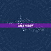 生肖龙和虎合吗，生肖龙和虎合不合