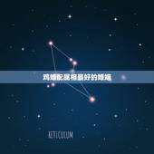 鸡婚配属相最好的婚姻，鸡可以婚配什么属相？
