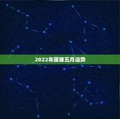 2022年属猪五月运势，属猪人2021年运势运程每月运程