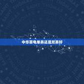 中华草龟单养还是双养好，养乌龟的技巧？养一只还是养两只好？