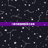 属马属相婚配表大全集，属马的属相婚配表，属马和什么属相最配