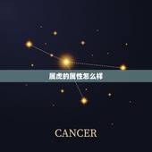 属虎的属性怎么样，属虎人一生最旺3个人