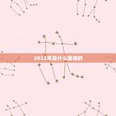 2022年是什么属相的，2022年运势最好的生肖