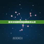 属羊女和属鸡男属相婚配怎么样，属羊女和属鸡男到底相配不。