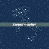 属相婚配鼠和鸡能婚配吗，婚姻属相中老鼠和鸡相配吗