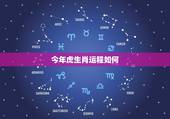今年虎生肖运程如何，2022 年属虎人的幸运数